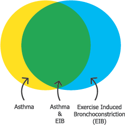 EIB Venn diagram