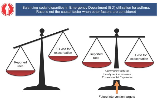 Racial disparities in asthma related to social and environmental factors