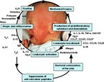 Amplification cycle and mediators involved in atopic dermatitis