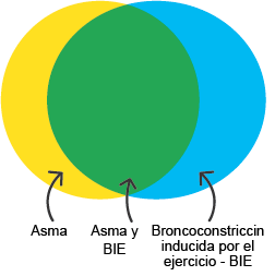 EIB Venn diagram