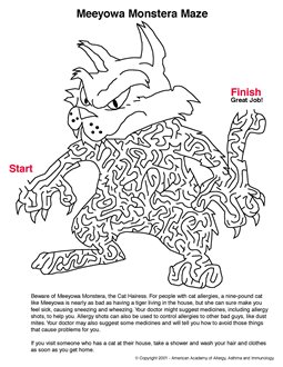 Allergy and Asthma Maze