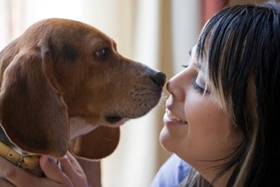 Dog Allergy Myths