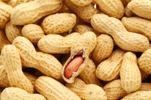 Peanut-allergic Soy-allergic & Asthma Inhalers