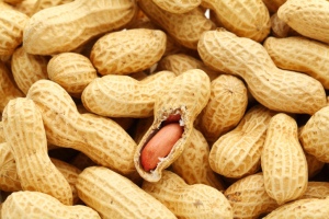 peanut allergy