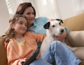 Alérgenos de interiores