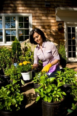 Jardinería apta para alérgicos